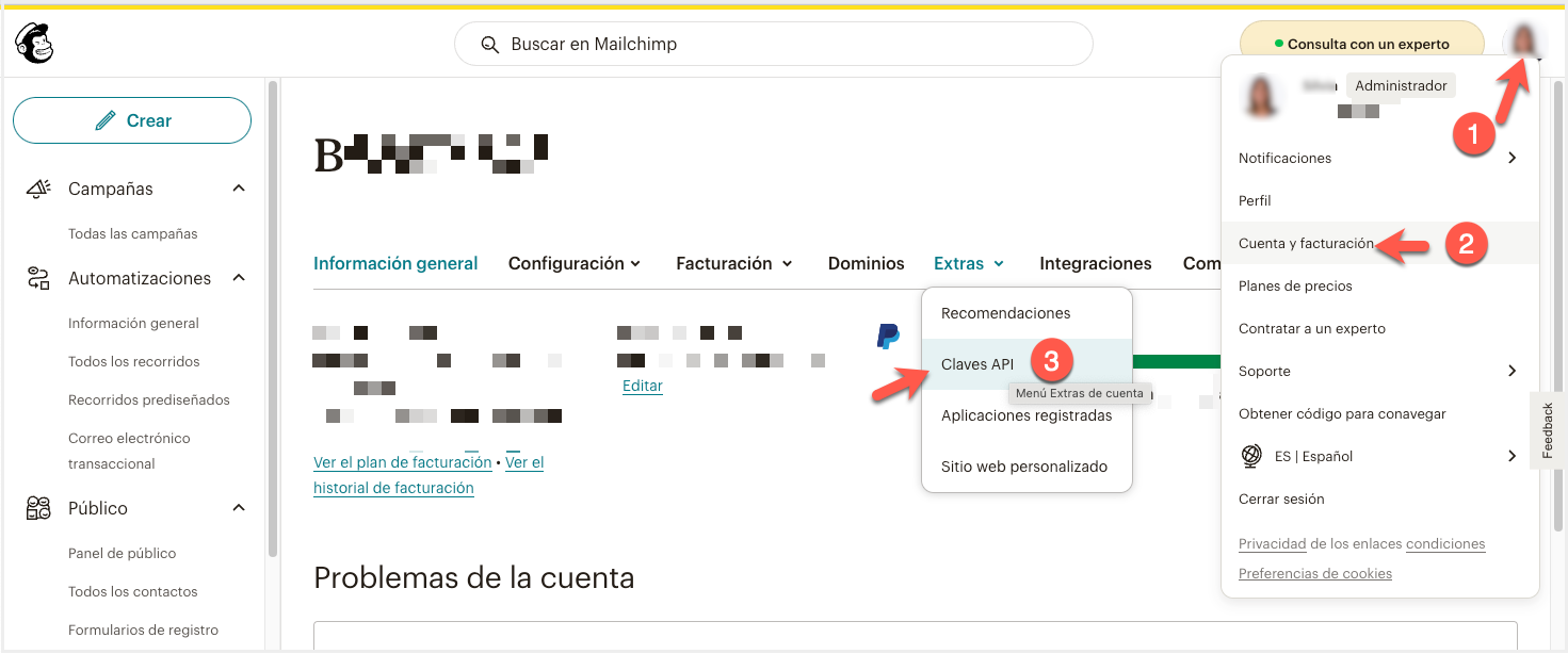 mailchimp_api_key_esp.png