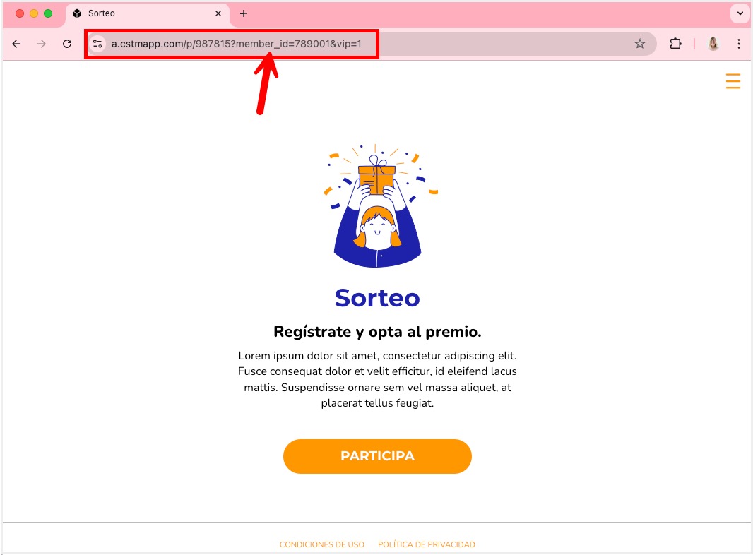 Tutorial_Parametros_URL_4.jpg
