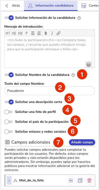 Solicitar_Nombre_Candidatura.png