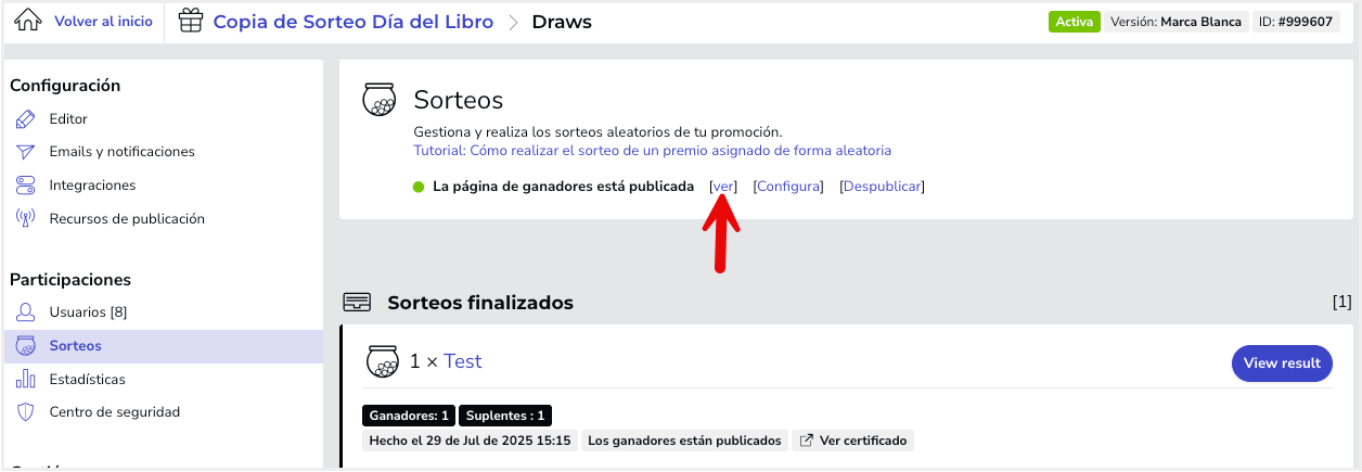 Tutorial_Sorteo_Aleatorio_7.png