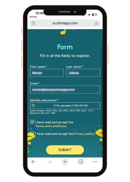 Entry_Form_Tutorial_7.jpg
