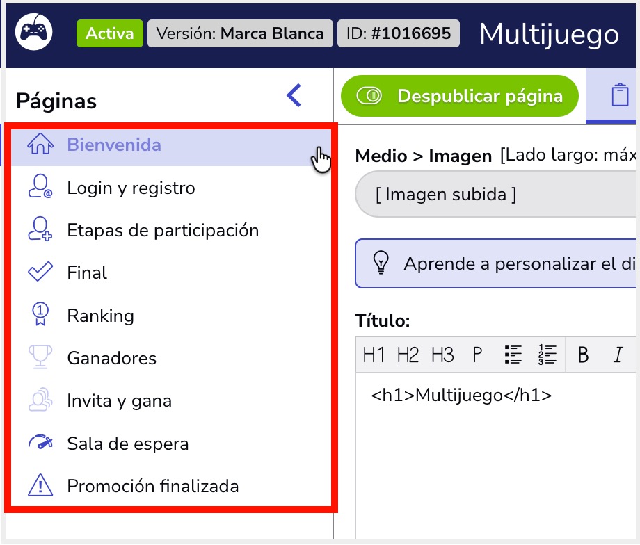 Tutorial_Multietapa_9.jpg